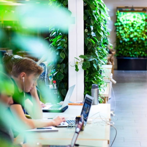 Naava Healthtech Green Wall - 0