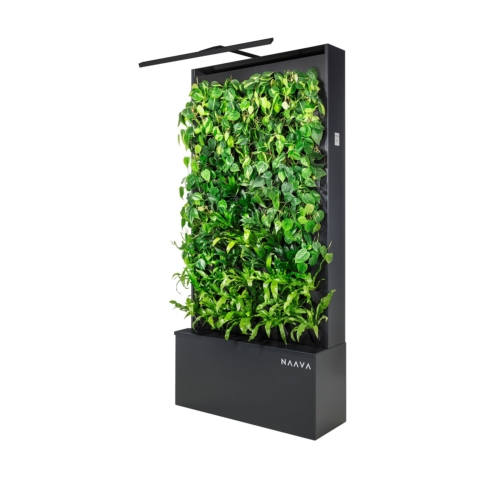 Naava Healthtech Green Wall - 0