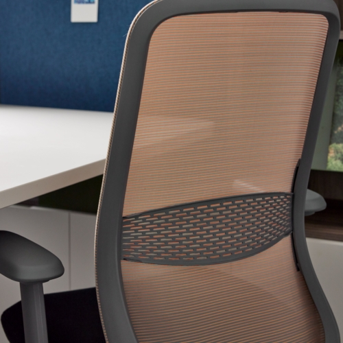 Eager Executive & Task - 0