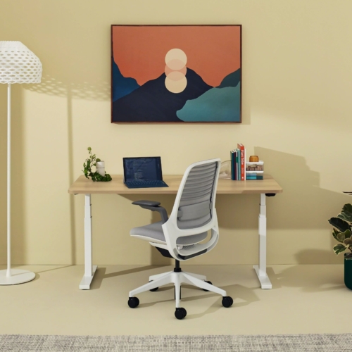 Solo Sit-to-Stand Desk - 0