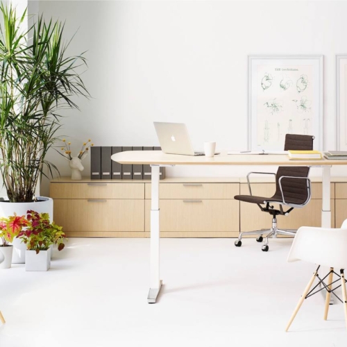 Renew Sit-to-Stand Tables - 0