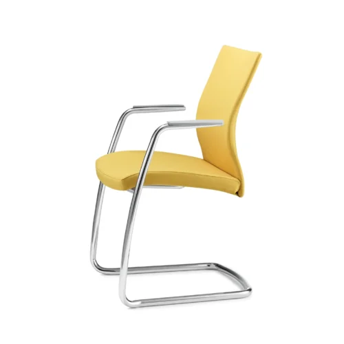 Portrait Guest by Source International