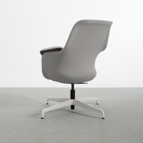 Aarea Lounge Chair - 0