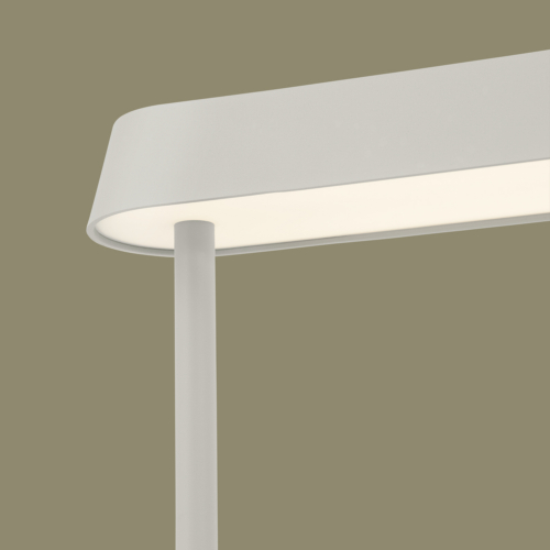 Linear Mounted Lamp - 0