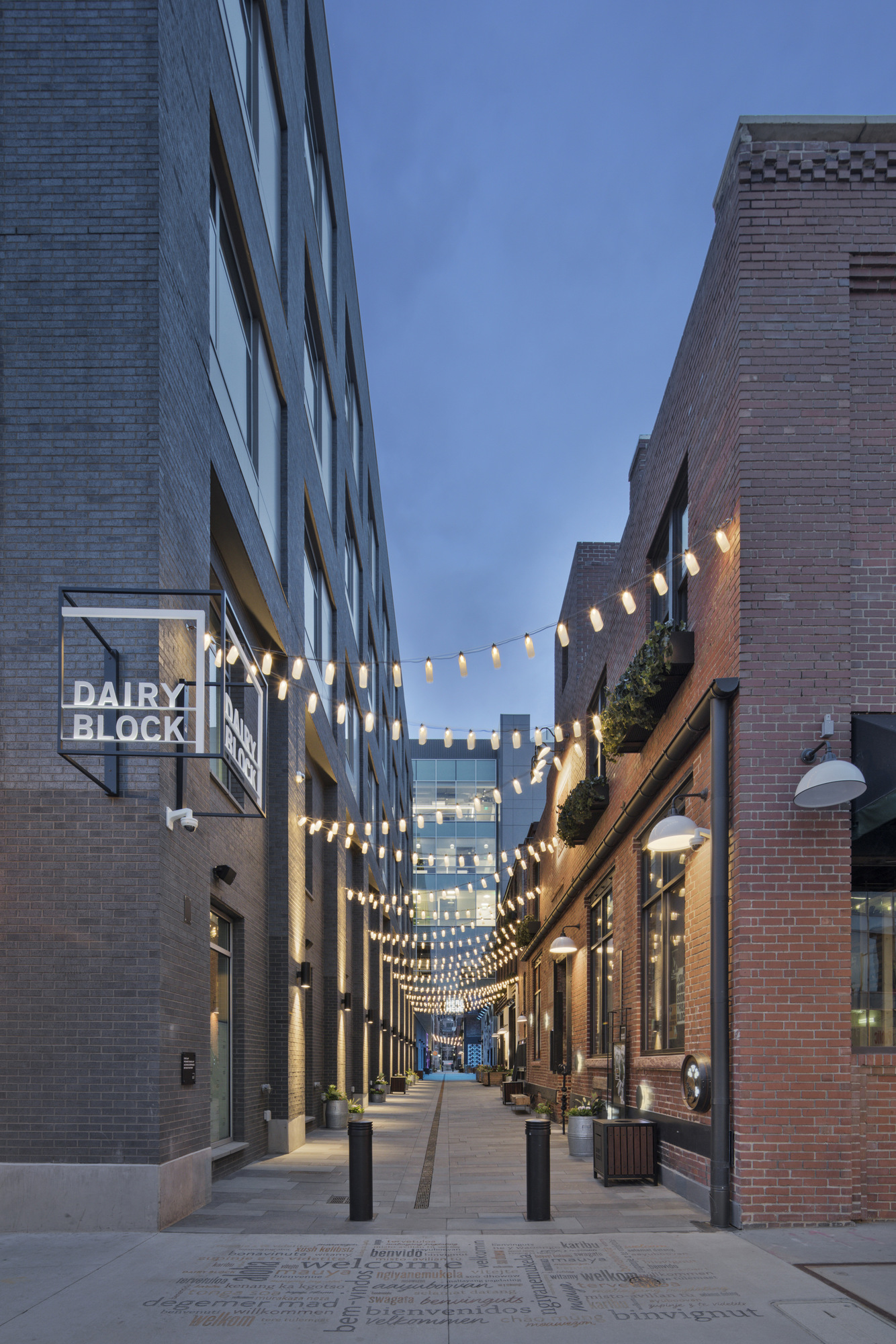 Dairy Block Hospitality Snapshots