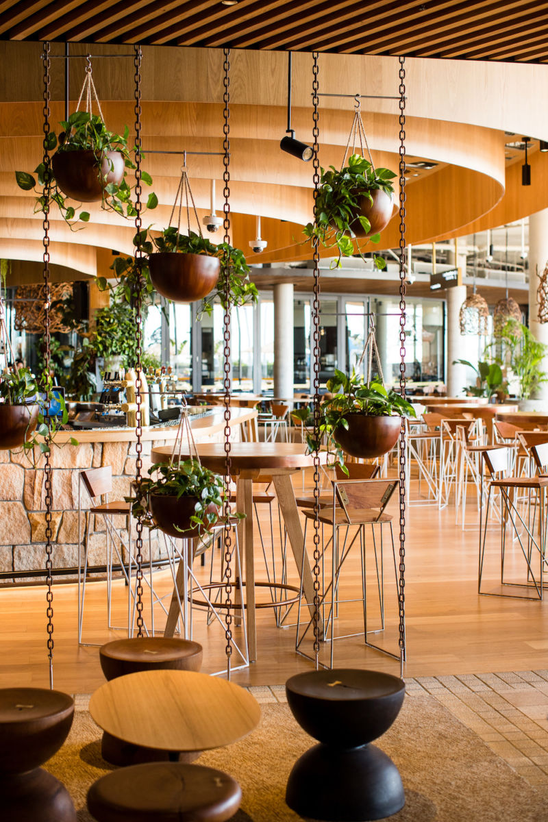 Harbord Diggers Club Hospitality Snapshots