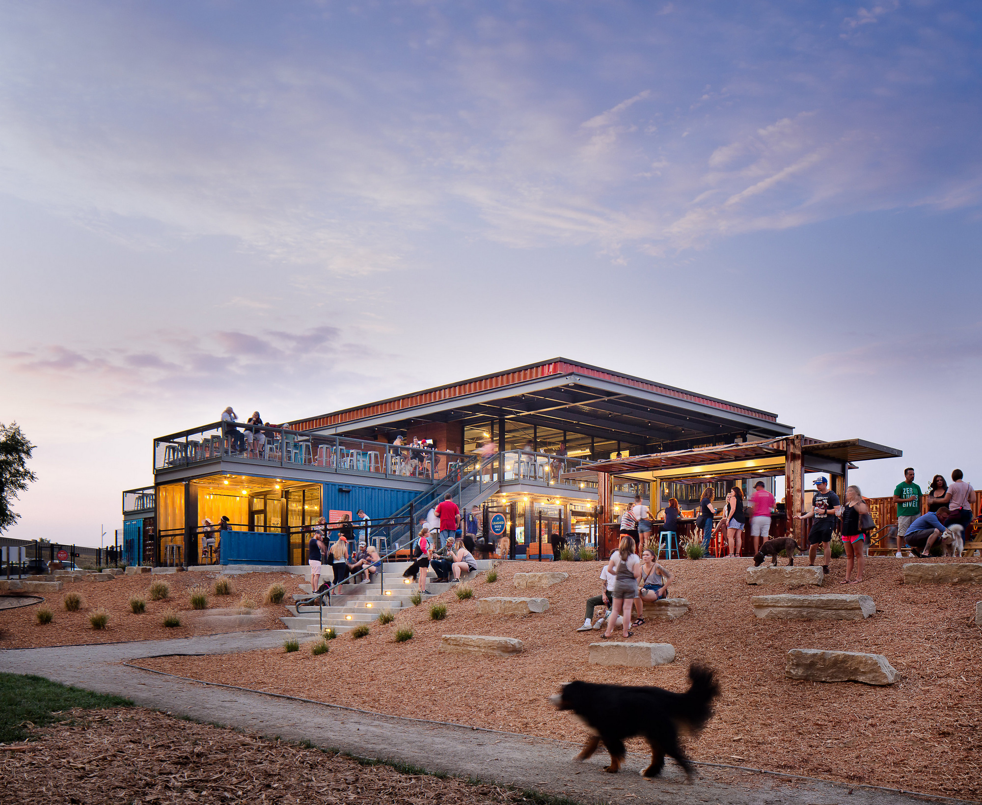 Bar K Dog Bar Hospitality Snapshots