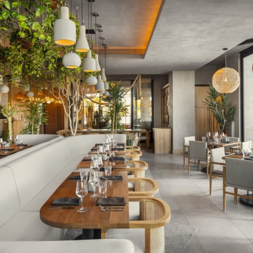 recent Cala Restaurant hospitality design projects