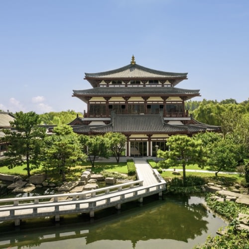 recent Tang Wei hospitality photography projects