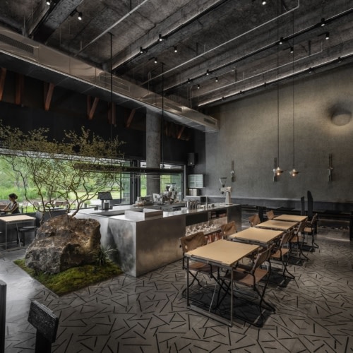 recent Wild Back Restaurant hospitality design projects