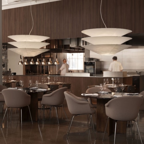 recent Robusto Restaurant hospitality design projects