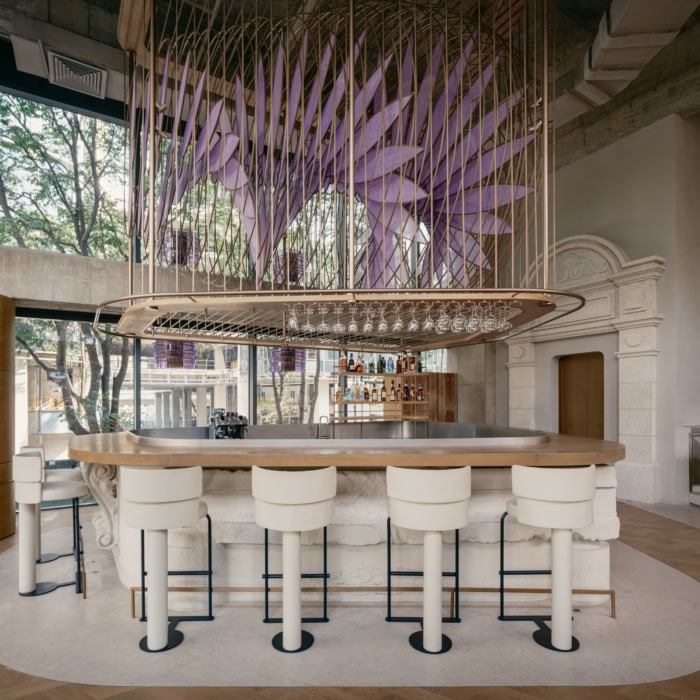 Aster by Joshua Paris - 0