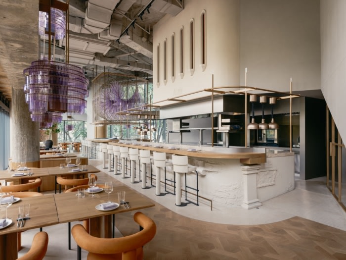 Aster by Joshua Paris - 0