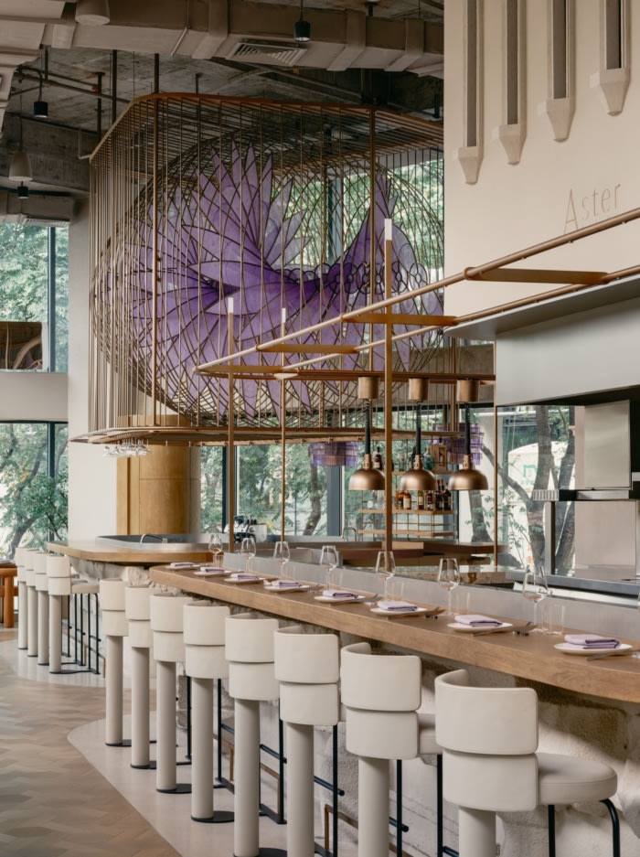 Aster by Joshua Paris - 0