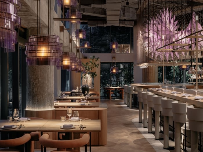 Aster by Joshua Paris - 0