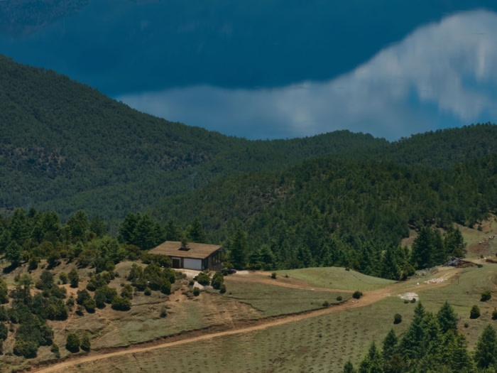 SongMoon Homestay and Bookhouse - 0